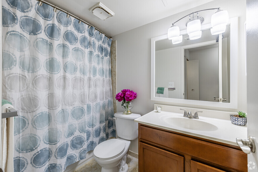 1BD, 1BA - 700SF - Bathroom - Brookdale Apartments