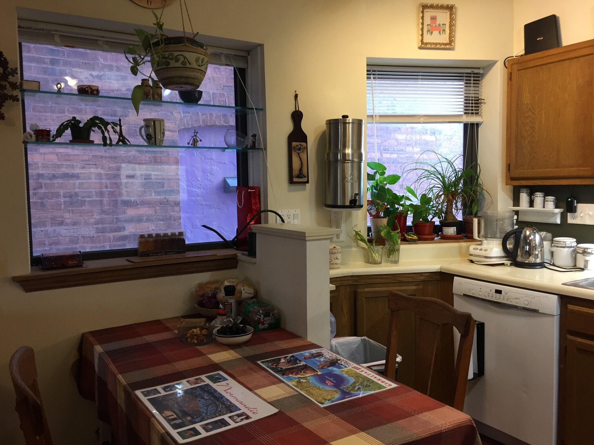 windows by the kitchen - 6344 Aurelia St