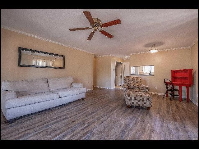 Building Photo - 503 Green Mountain Cir