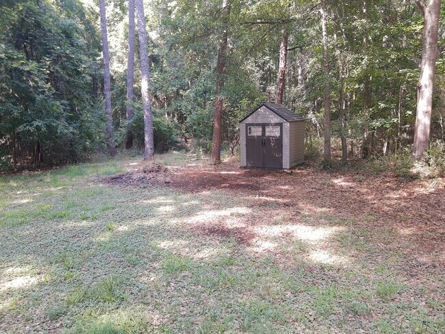Backyard - 505 Aster Ct