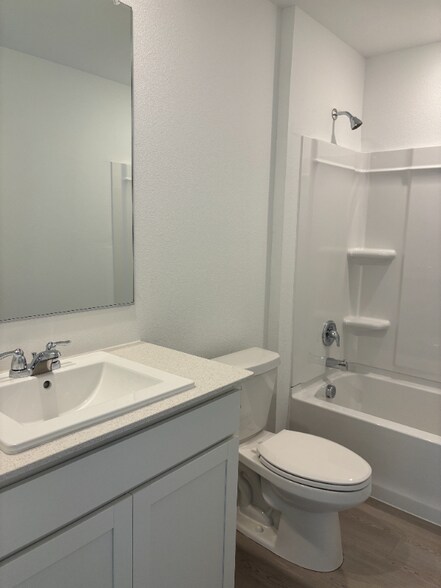 Primary Photo - 3040 Burmese St