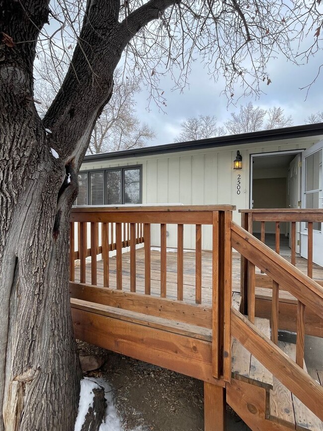 Building Photo - STUDENTS WELCOME! Spacious 3-Bedroom / 1-Bath Duplex w/ Fenced Backyard