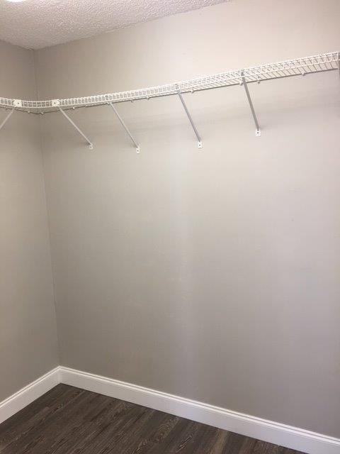 Building Photo - 7919 Goldleaf St