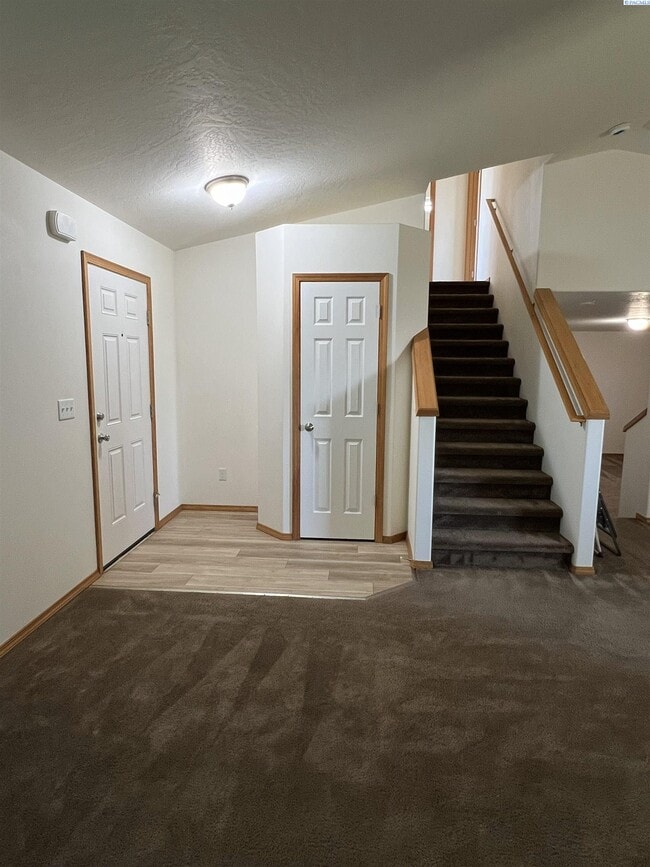 Building Photo - 4519 Catalonia Dr