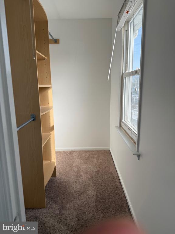 Building Photo - 447 Windsor Dr