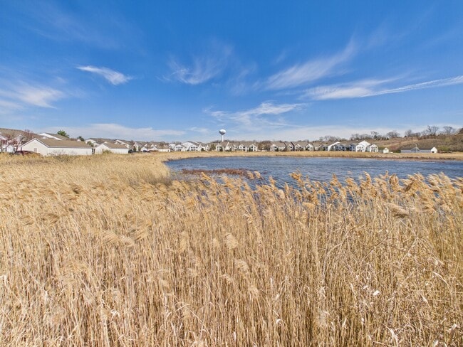 Building Photo - 917 Silverstone Dr