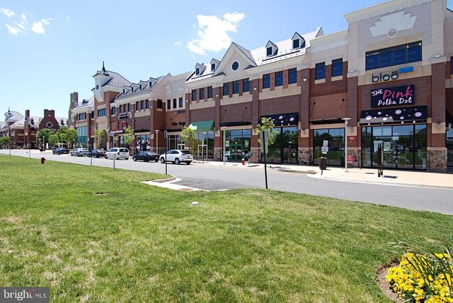 Building Photo - 22641 Blue Elder Terrace