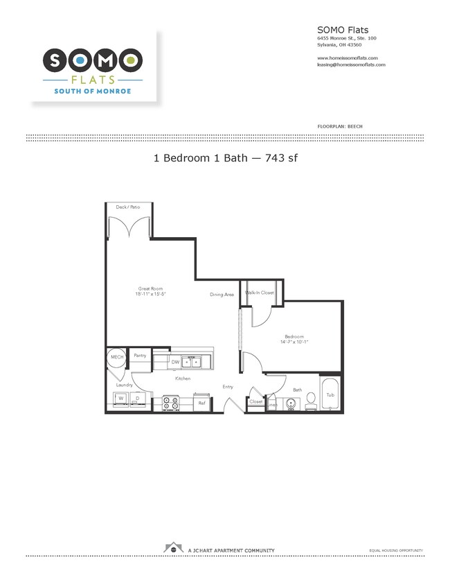 Beech 1.1 (U8).png - SOMO