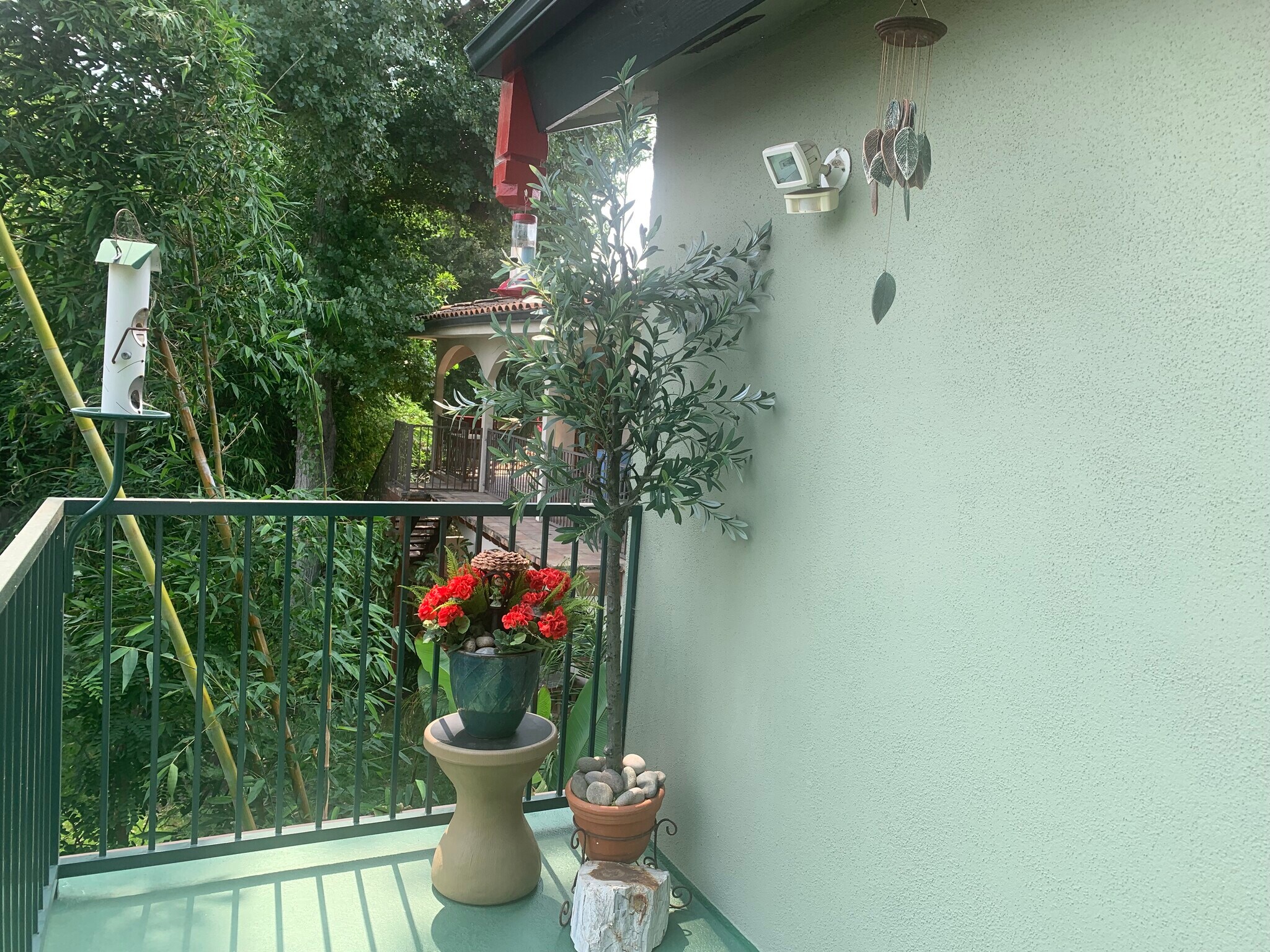 Just a little greenery - 14715 Greenleaf St