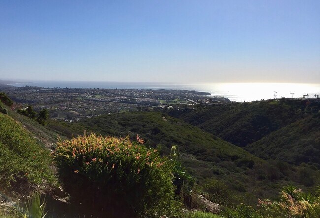 Primary Photo - $1000 OFF FIRST MONTH! Gorgeous 2 Bedroom ...