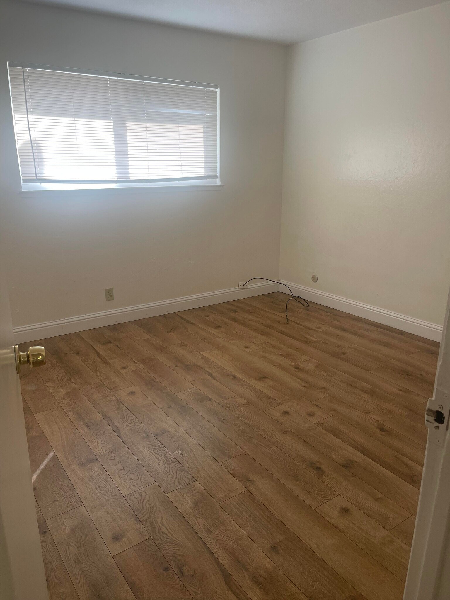 Building Photo - 1119 Starbird Cir