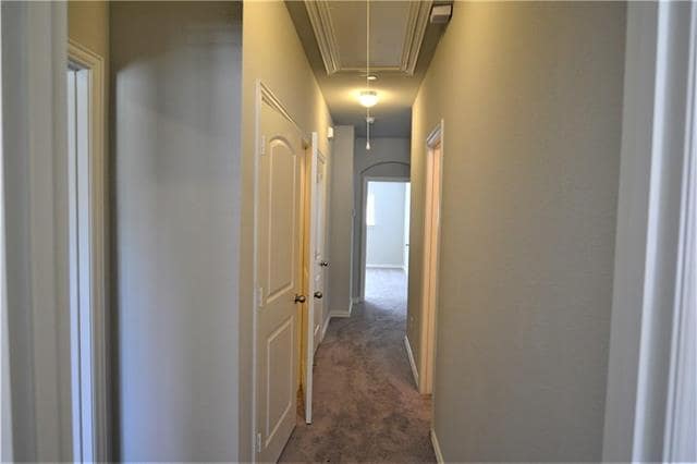 Building Photo - 2547 Adam Ln