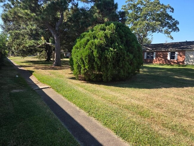 Building Photo - 2000 Bahama Dr