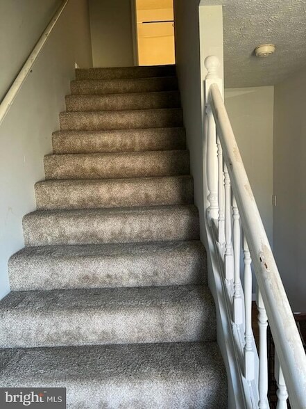 Building Photo - 24 Ora Lee Ct