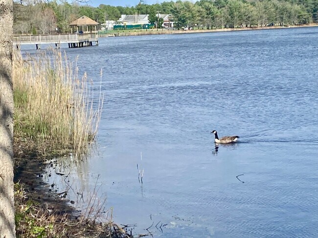 Building Photo - 6 Sequoia Ct