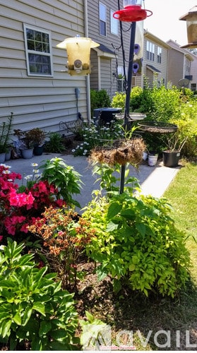 Building Photo - 308 Windy Peak Loop