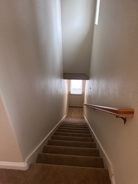 Building Photo - 11316 Rain Tree Ct