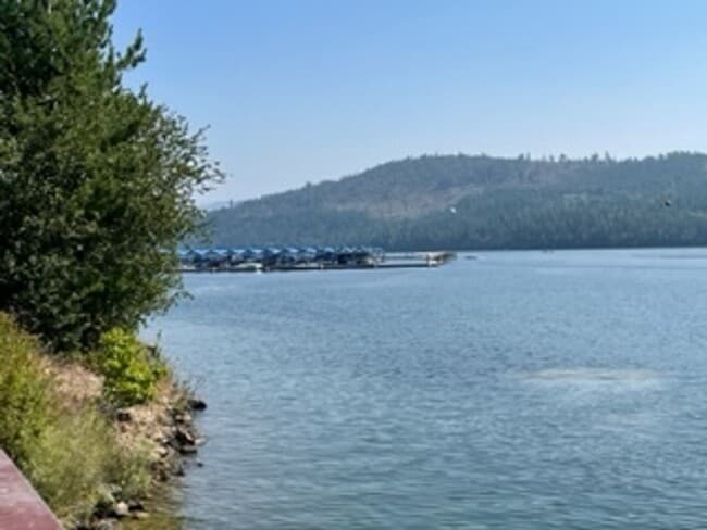 Building Photo - Sought after Dover Bay Home