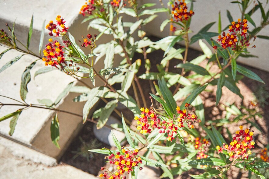 Building Photo - 640 Santa Clara Ave