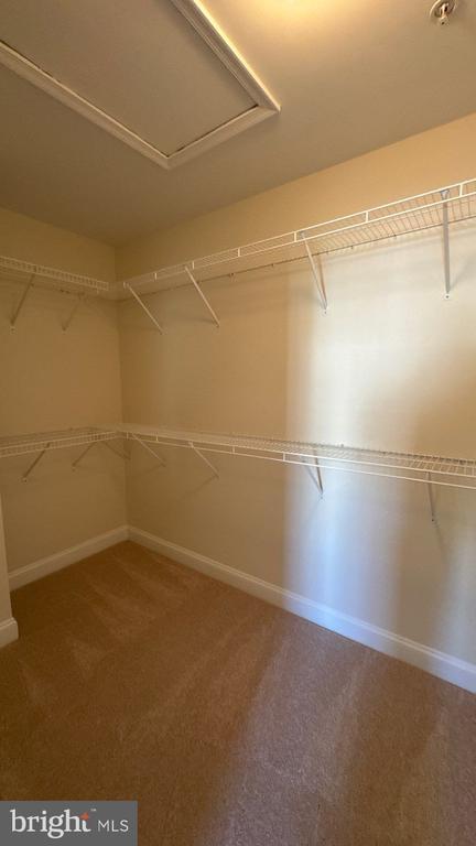 Building Photo - 9727 June Flowers Way