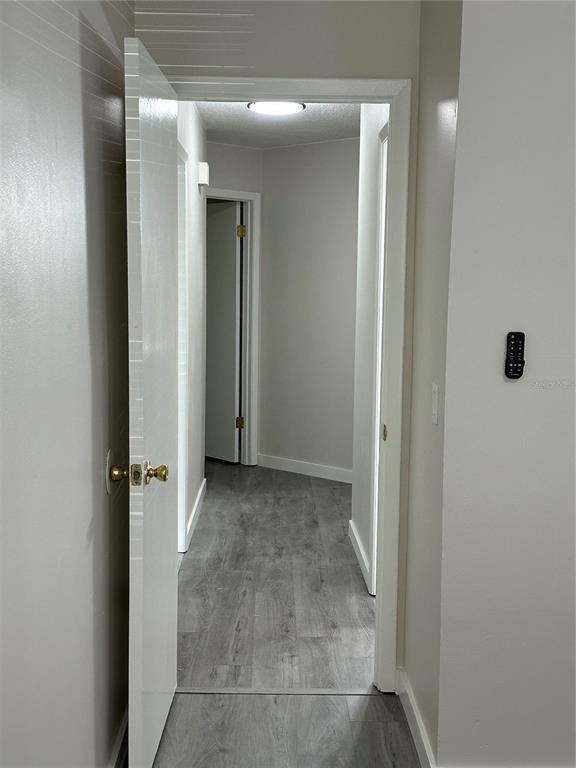 Building Photo - 7311 Seena Ct