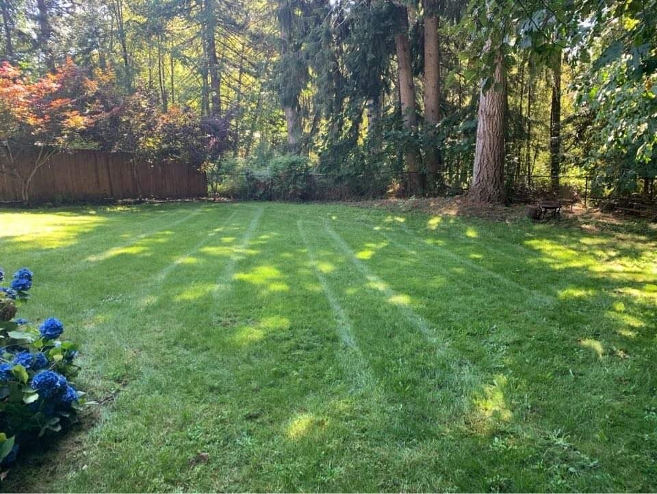 Back yard - 4811 Rural Rd SW