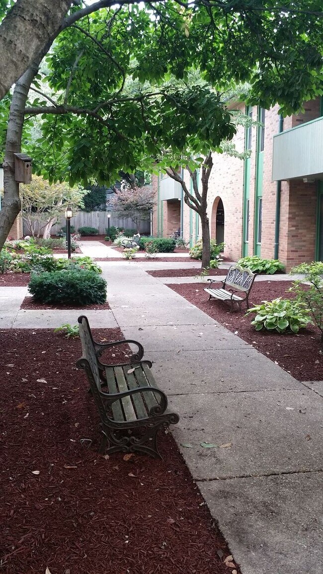 Building Photo - 1 Bedroom Downtown Court Yard Level Apartment