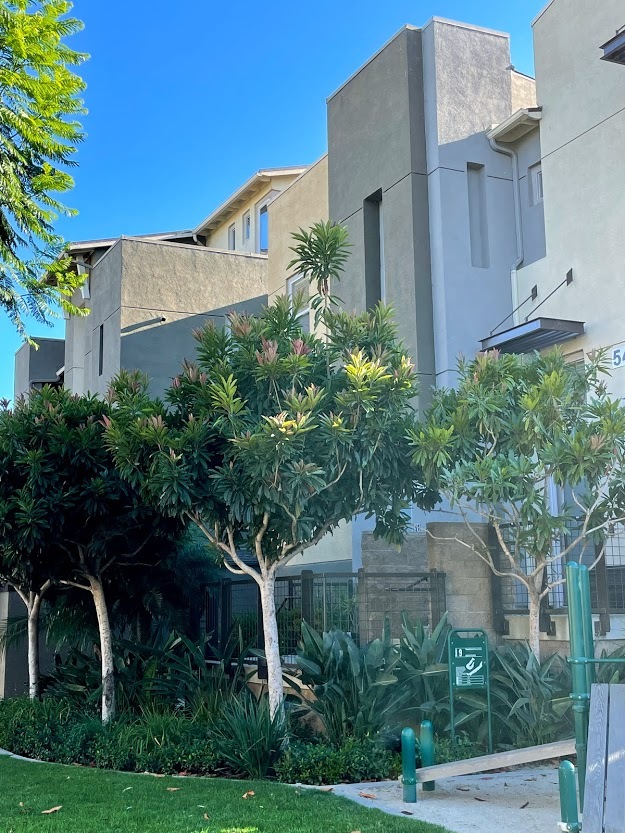 Building Photo - 5401 W 149th Plz