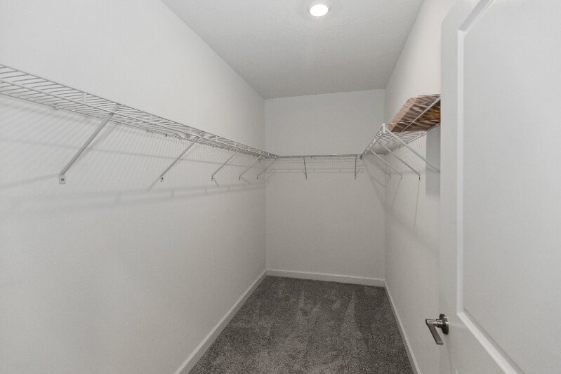 Building Photo - 10721 Gable Dig Lp