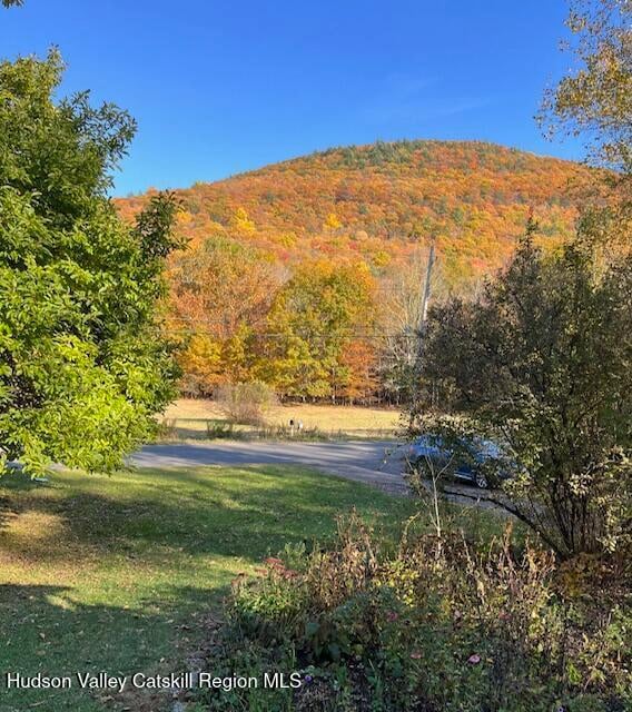 Building Photo - 79 Reynolds Ln