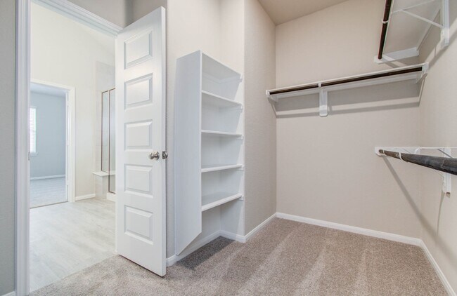 Building Photo - 8430 Moonlight Bay Cir