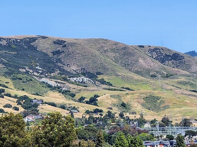 Building Photo - Beautiful Tuscan Style Home in SLO-Coming soon
