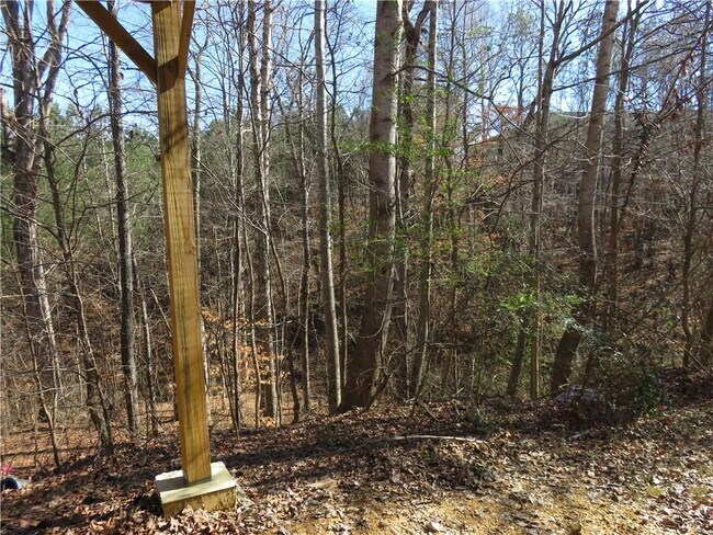 Building Photo - 204 Twin Pines Ct