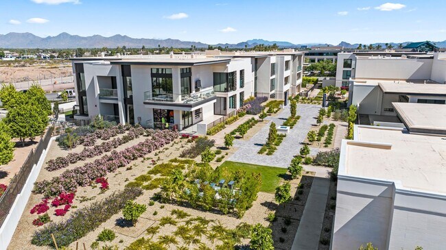 Building Photo - 6587 N Palmeraie Blvd