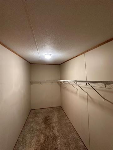 Building Photo - 5412 Tal Dr