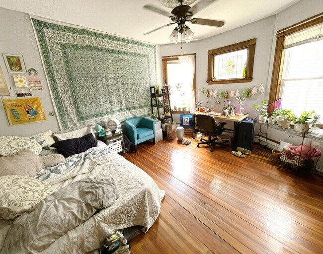 Building Photo - Unique and Amazing AparTment