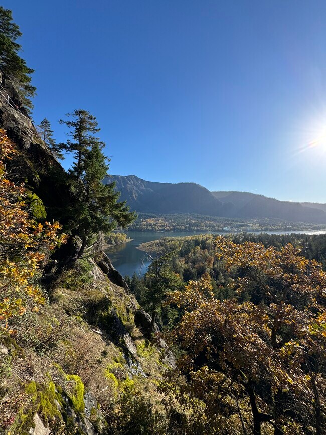 Building Photo - 361 Frank Johns Rd