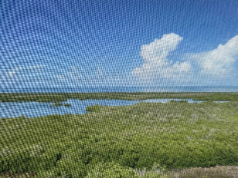 Building Photo - 1001 Arbor Lake Dr