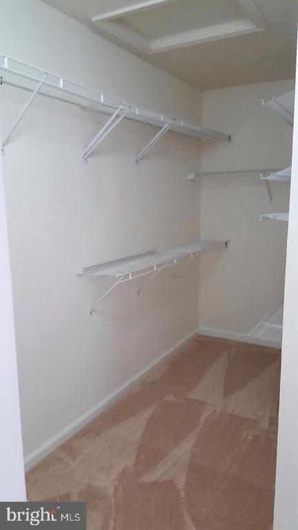 Building Photo - 8108 Madrillon Springs Ln