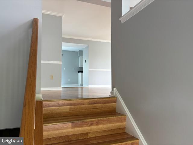 Primary Photo - 3744 Swetland Dr