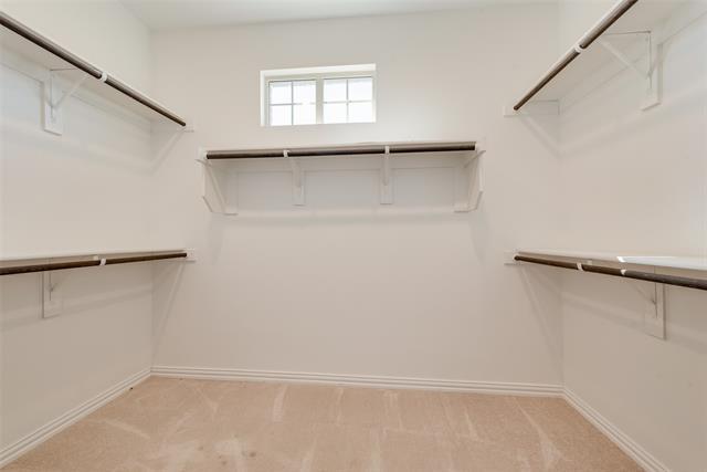 Building Photo - 3750 Honey Daisy Dr