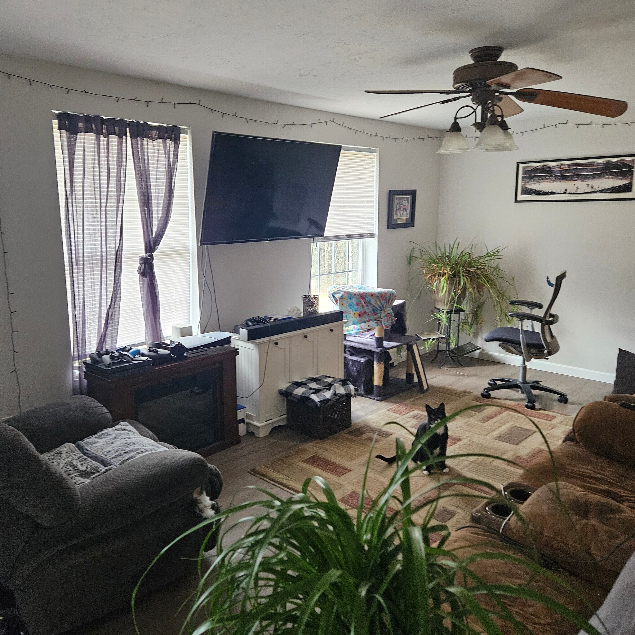 Building Photo - 137B Highrock Rd