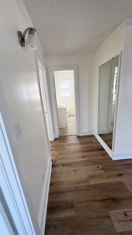 Building Photo - 3817 King St