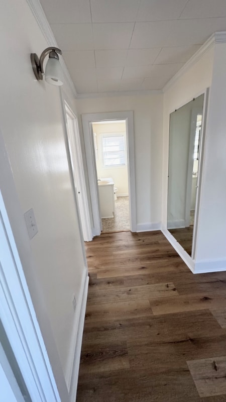 Building Photo - 3817 Dr. M.L.K. Jr Blvd