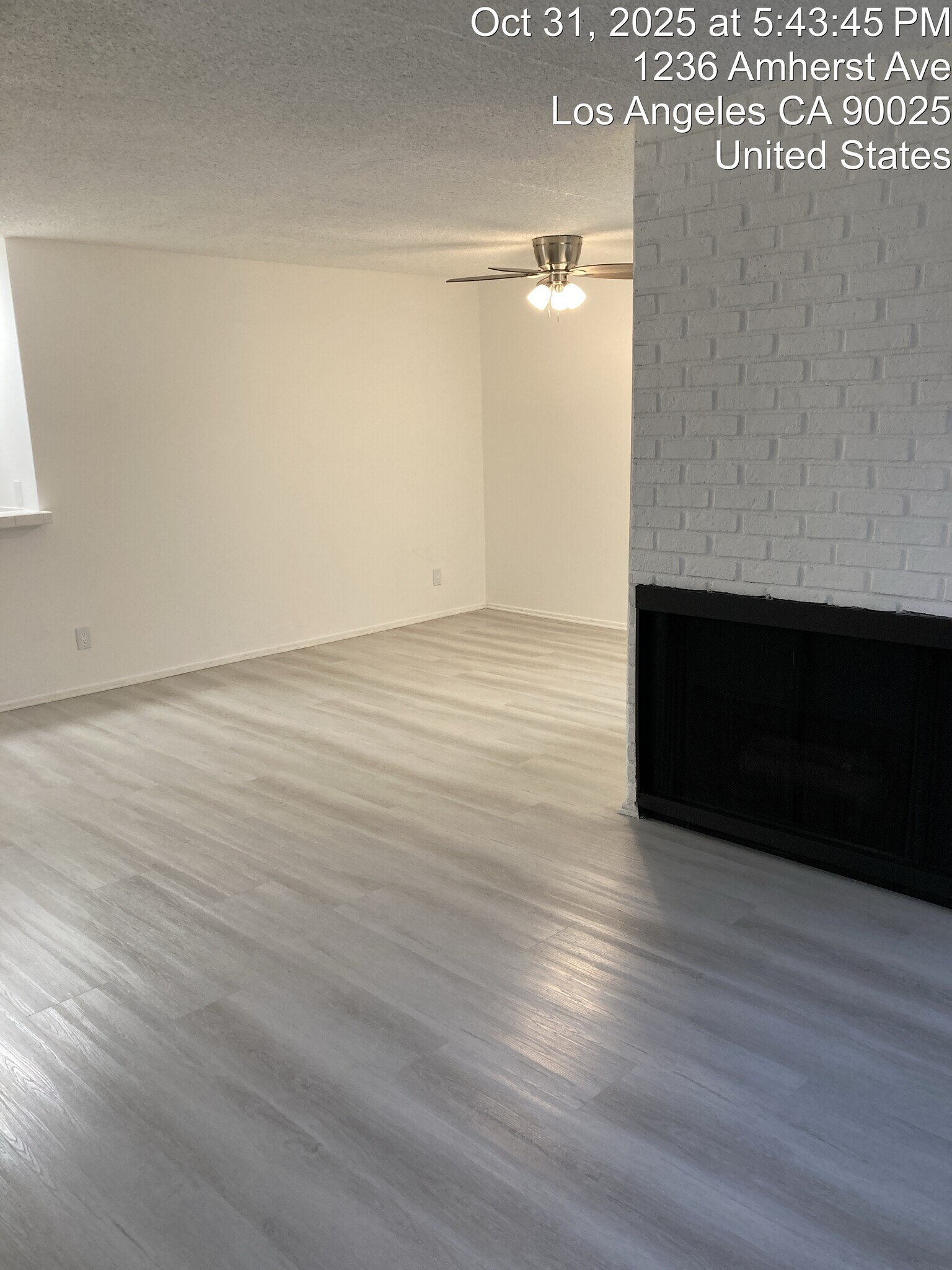 Fireplace - 1236 Amherst Ave