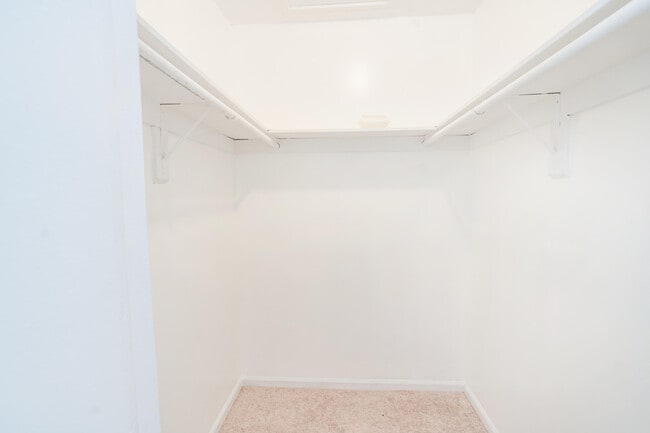 Building Photo - 1901 Indian River Blvd