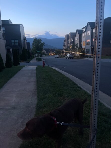 Building Photo - 1015 Heathercroft Cir