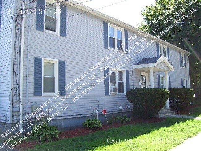 Primary Photo - 31 Lloyd St