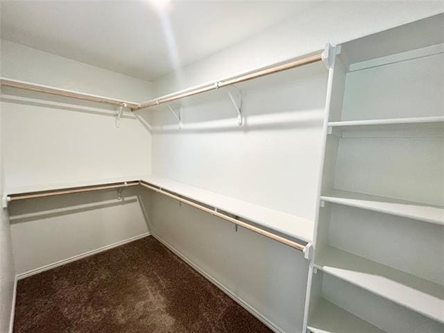 Building Photo - 928 Madeline Ln