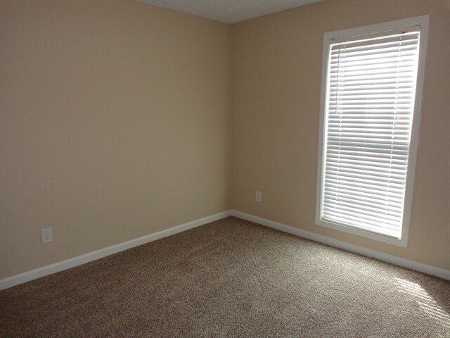 Building Photo - 1633 Amalie Drive